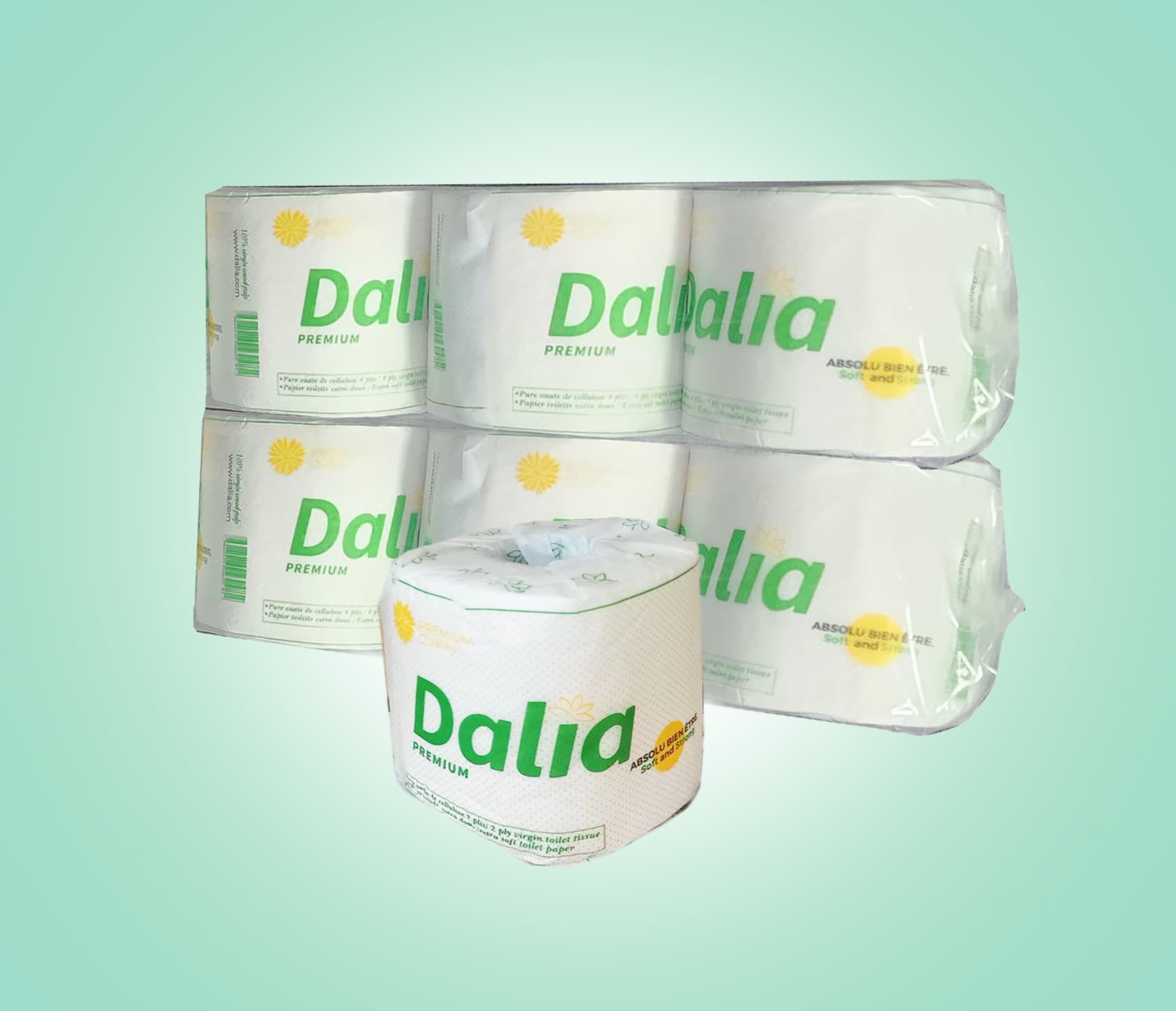 image rouleau de papier